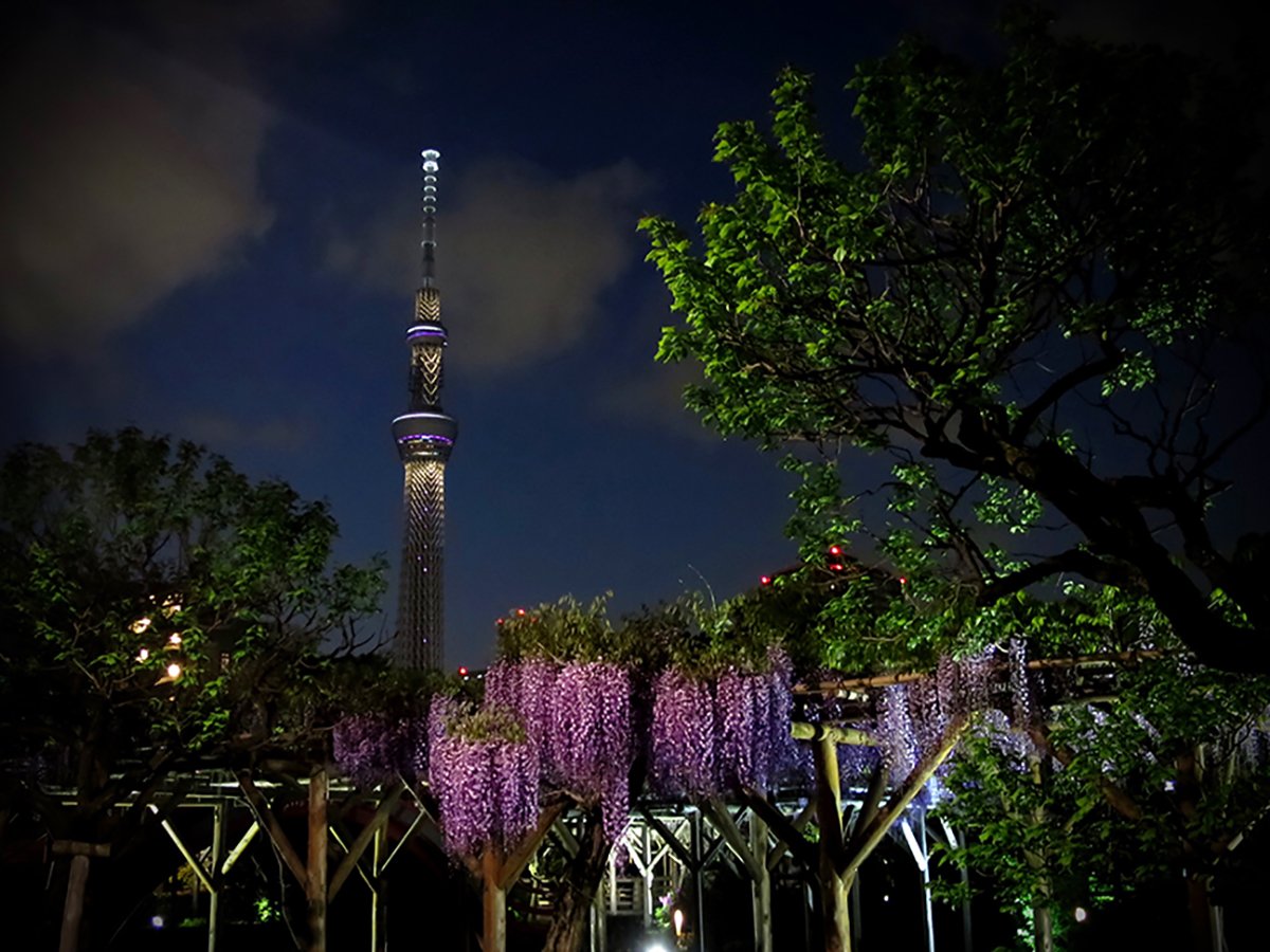 ⛩️ 야마다 히요시 신사 (야마다 히요시 진자) 이미지 5